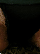 2008-10-29