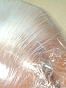 2008-10-29