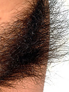 2008-10-29