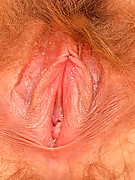 2008-10-26