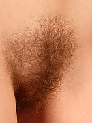 2008-10-29