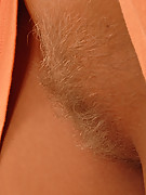 2008-10-29