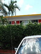 2008-01-22