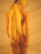 2007-11-23
