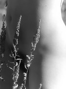 2007-11-21