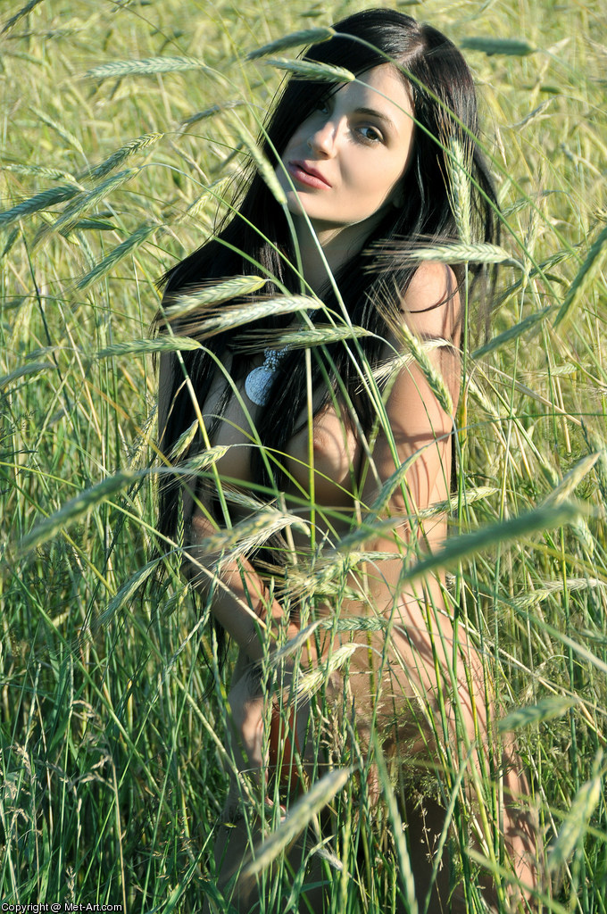 SVETA F