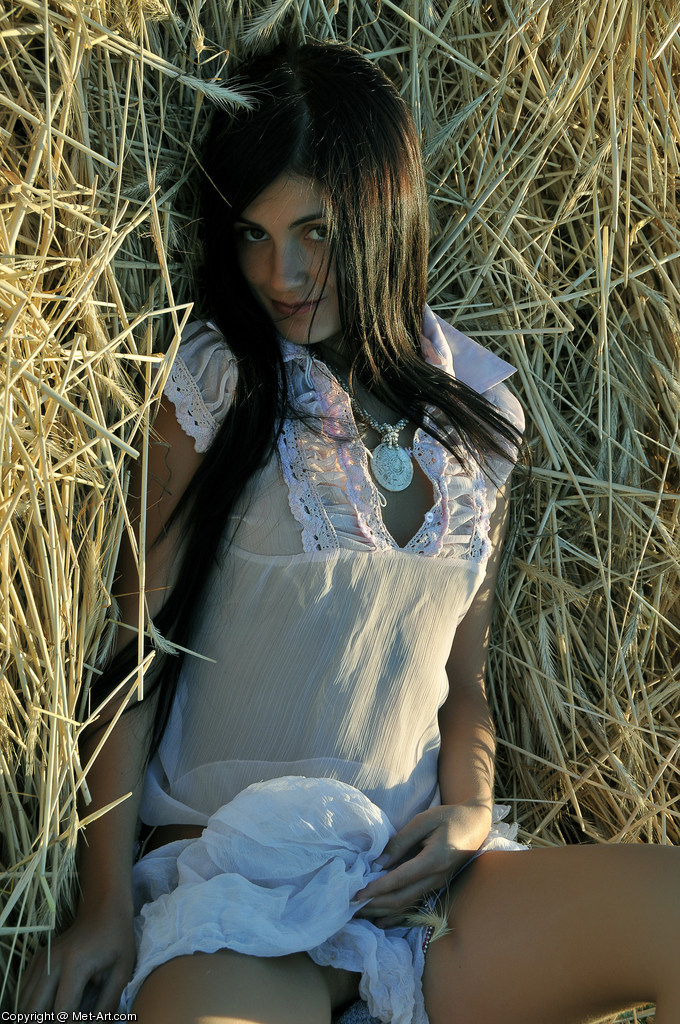 SVETA F